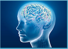 Neurosurgeon India, Neurosurgeon in New Delhi